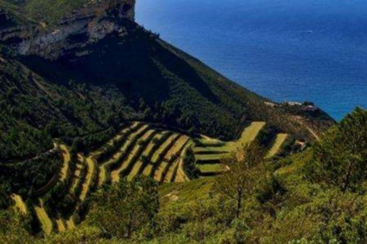 L'Odyssee Bleue Vue Mer كاسيس المظهر الخارجي الصورة